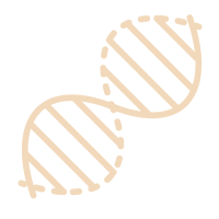 Sin-titulo-1_Mesa-de-trabajo-1-copia-2-200×200